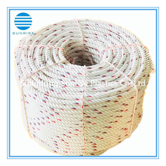 PP Danline Rope/PP Rope/Plastic Rope