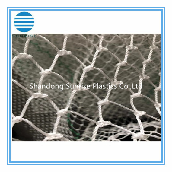 Fishing net