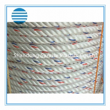 PP Danline Rope/PP Rope/Plastic Rope