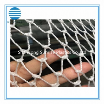 PE fishing net